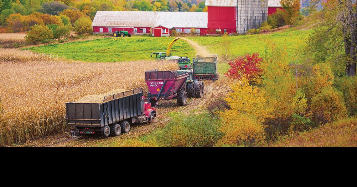 Leaf Peeper’s Guide to Foliage and Fun 2022 Spotlight