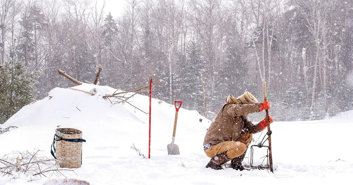 Trapping, coyote hunting hearings set - Vimarsana News
