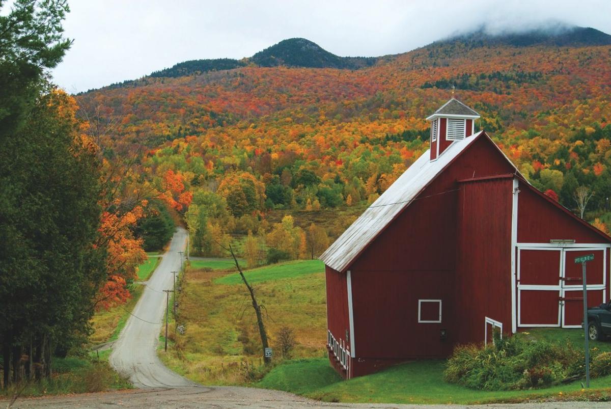 Where and how to get perfect foliage photos Vermont Made
