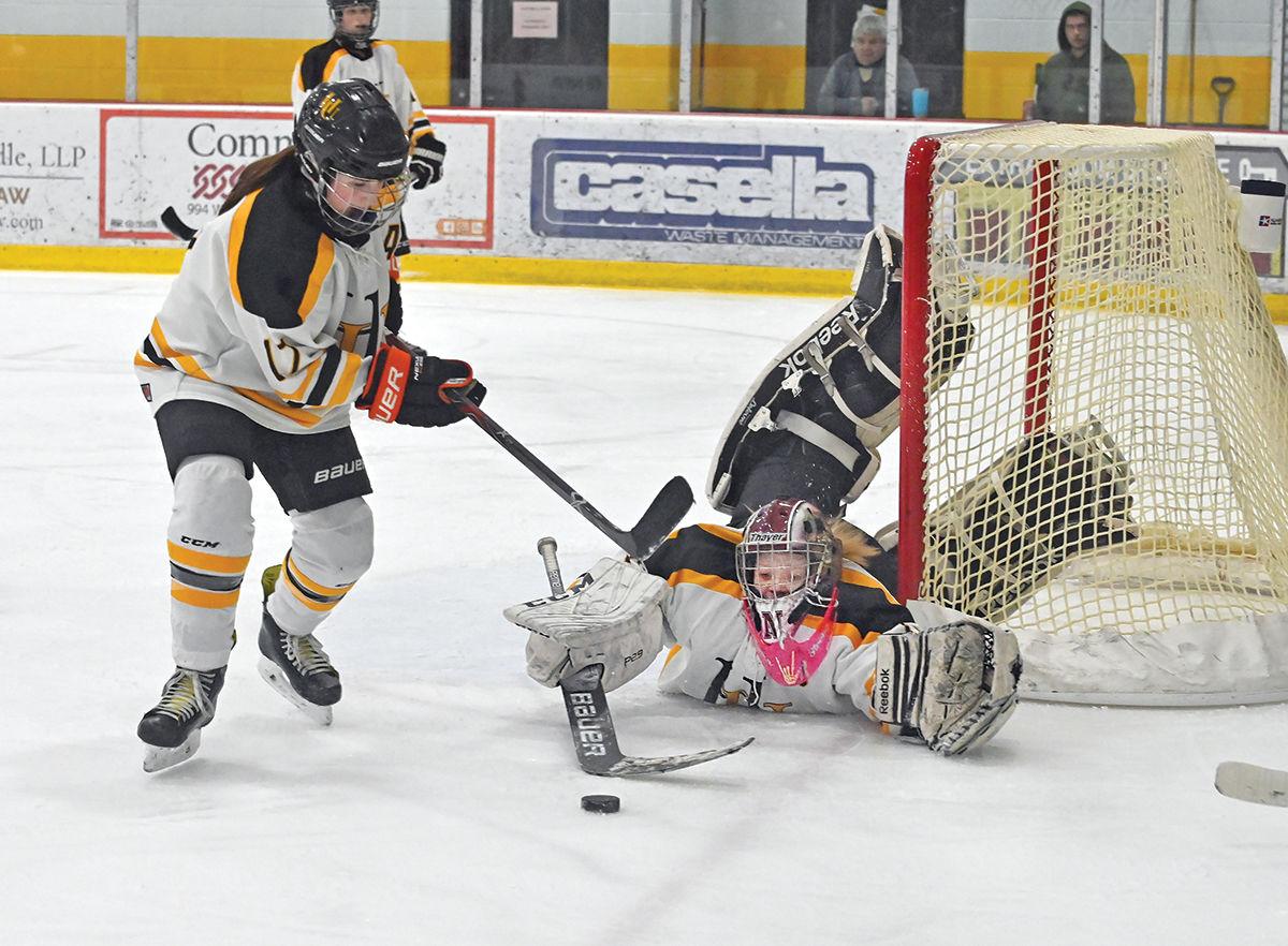 Boys Hockey In Title Tilt Girls Basketball In Semis Sports