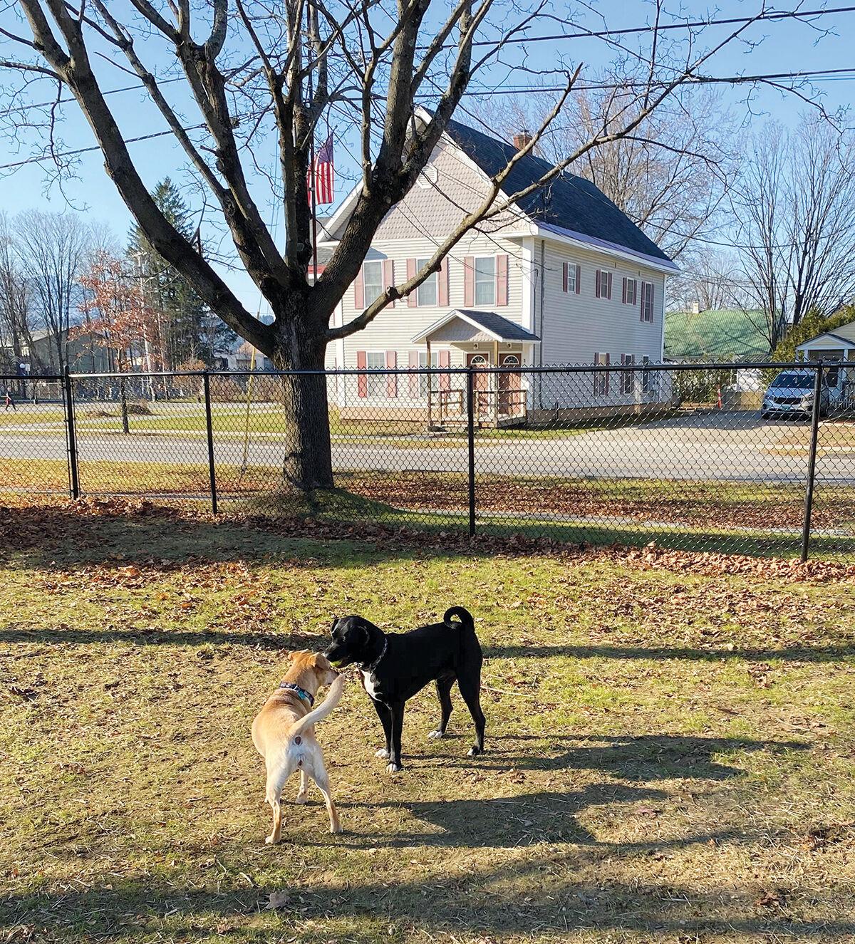 Morristown dog park is now open Local News