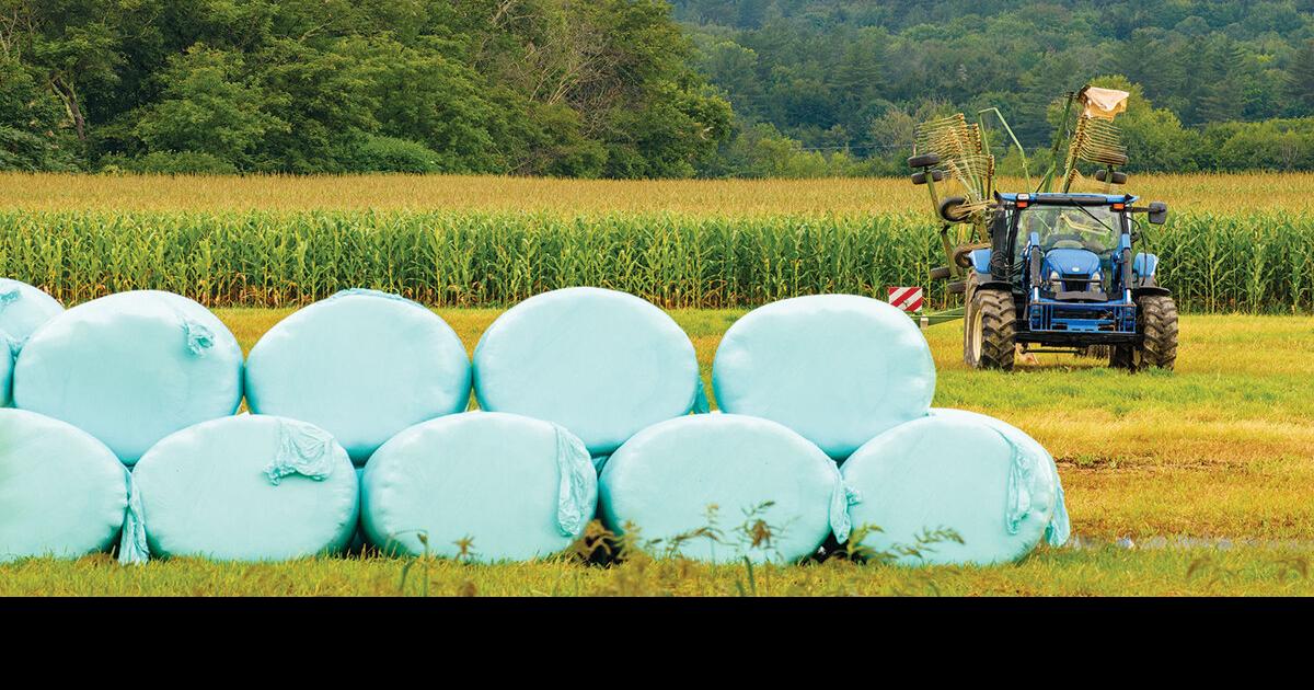 Another decade of farm tax breaks up for vote Local News