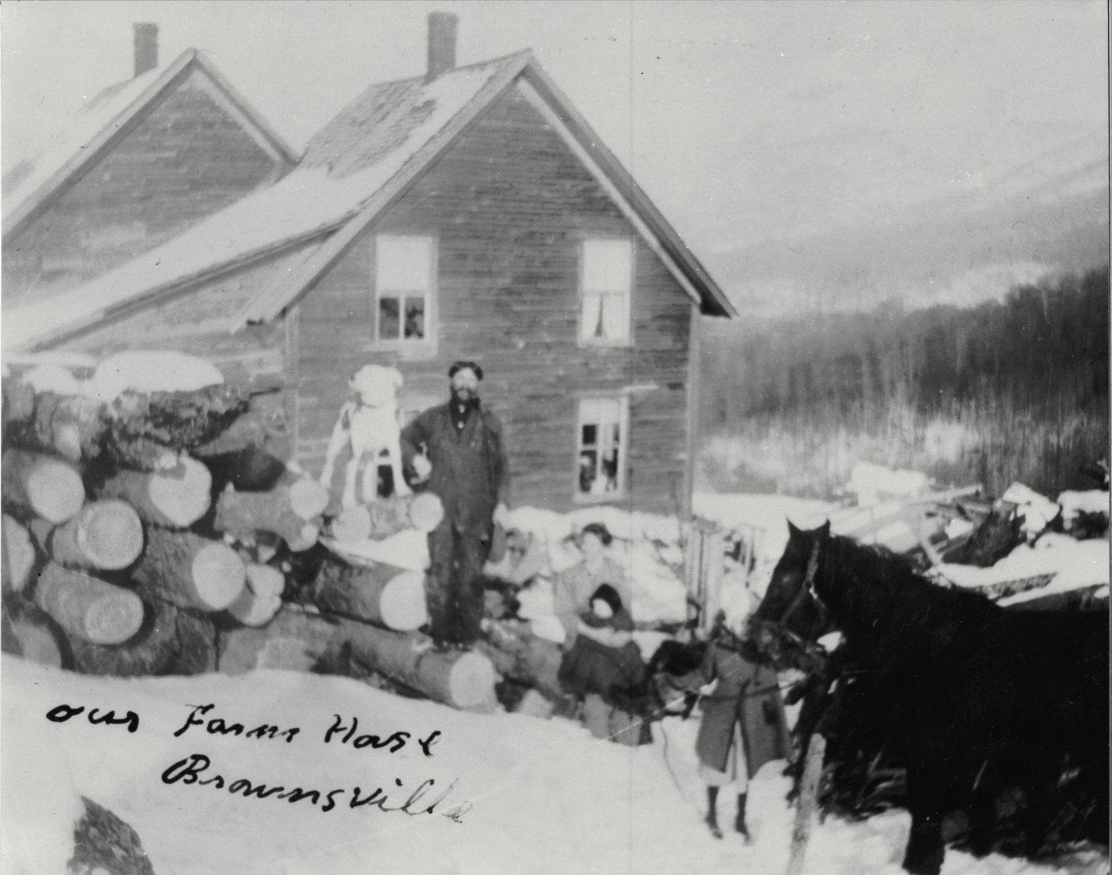 Hauling Logs with Horses near Waterbury Historic Photo Print c.1940 Vermont 