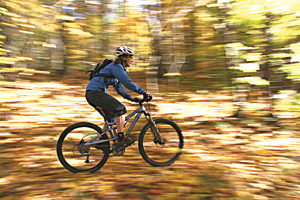 Locally, more than 50 miles of single-track trails snake through the hills and valleys of Stowe, Waterbury and at the Trapp Family Lodge.