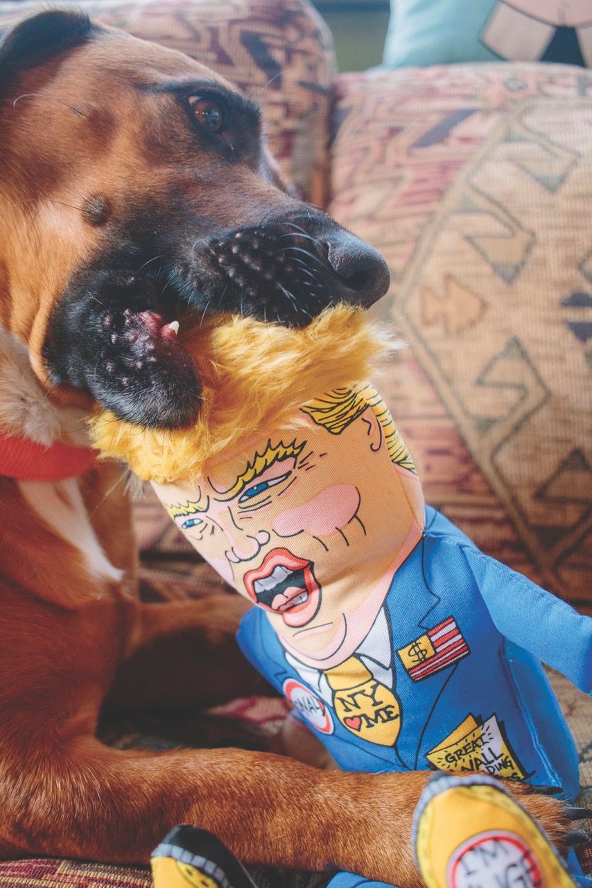 presidential parody dog toy