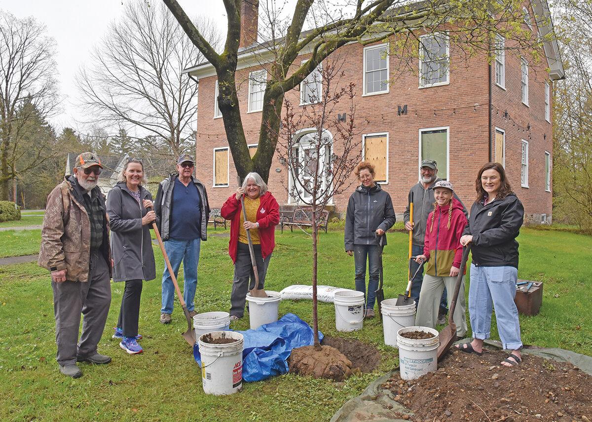 Morristown plants a community tree Community