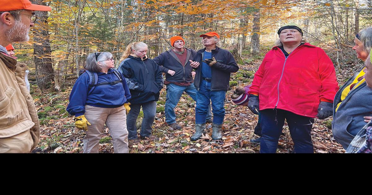 Wolcott asks for ideas for future townowned forestland Local News