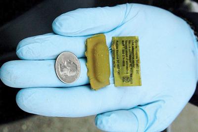 Rabies vaccine bait