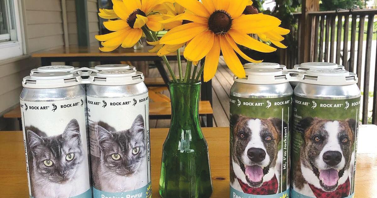 Still time to nominate cats, dogs for can cameo | Vermont Made