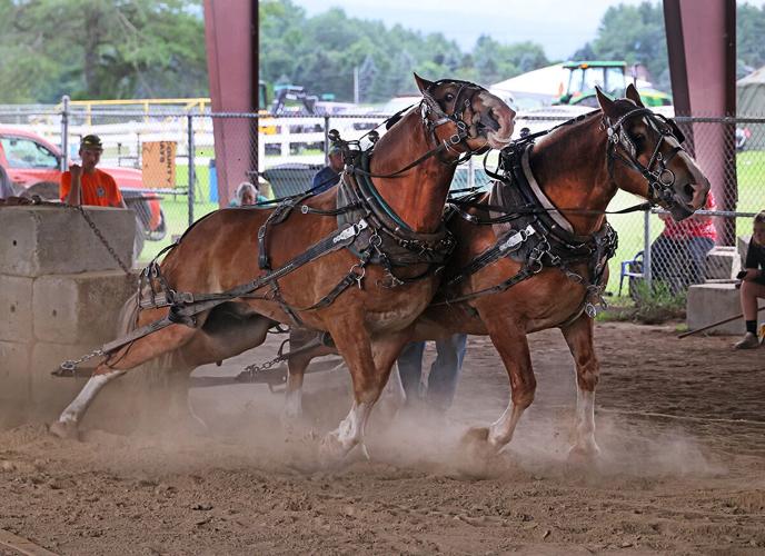 Lamoille County Field Days 2023