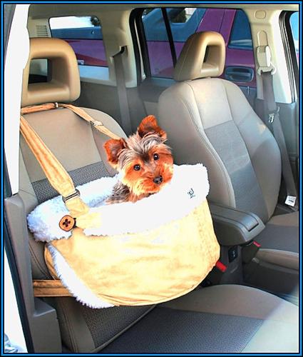 June 3 PET Dog SEat Belts