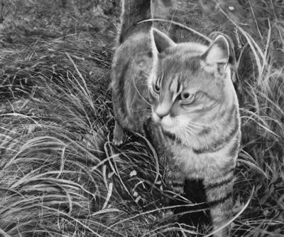 'Hunter in the Field'