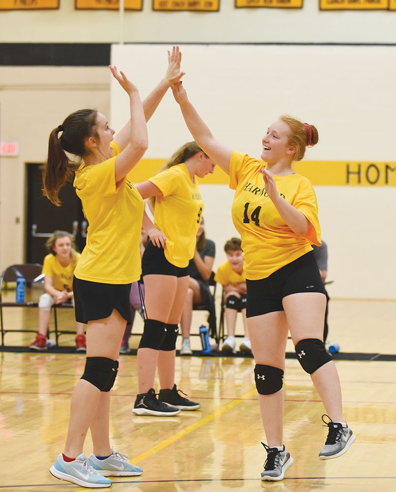 volleyball team numbers