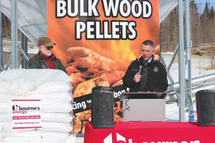Bulk wood pellets