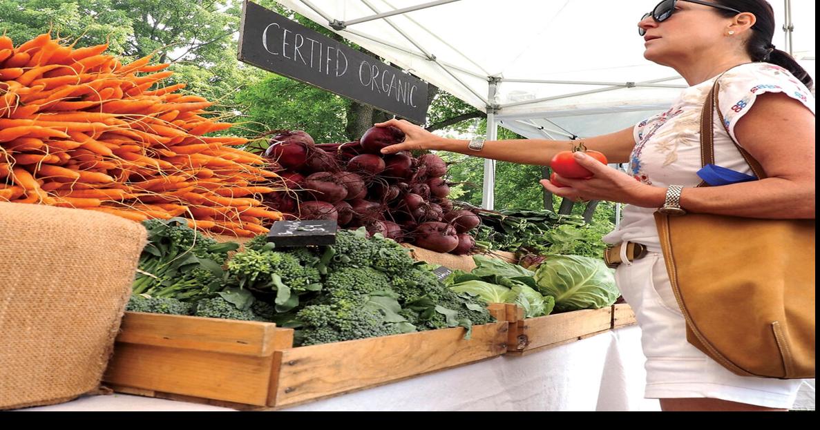 Shelburne Farmers Market Local News