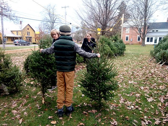 Boy Scouts Christmas Tree Rockford Il 2022