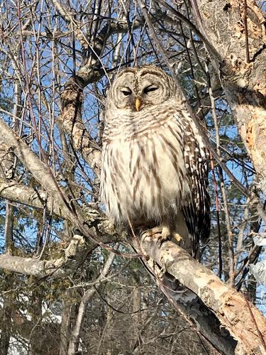 Looking for a snack?