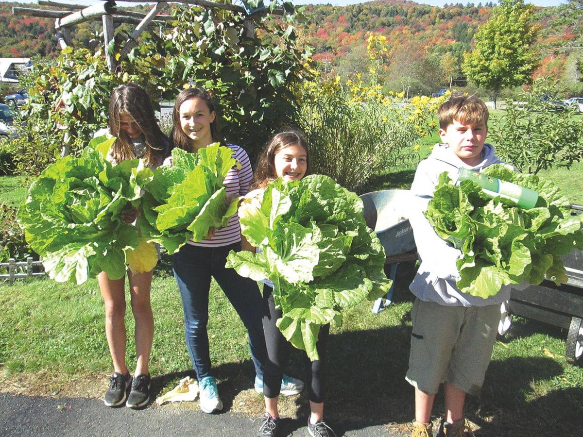 Stowe Middle School Garden Provides Way More Than Food Local News Vtcng Com