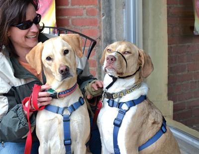 July-16-Pets-distracted-driving-photo-SC-copy