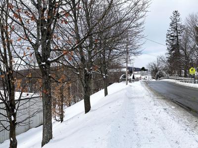 How to manage salt in the landscape