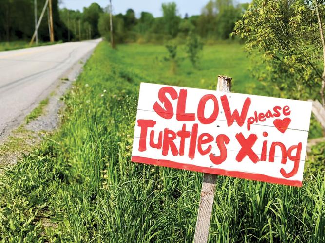 State wildlife officials are urging motorists to watch out for turtles
