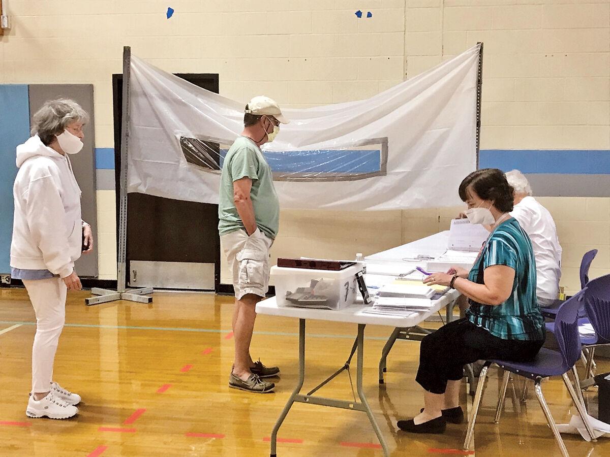 South Burlington vote