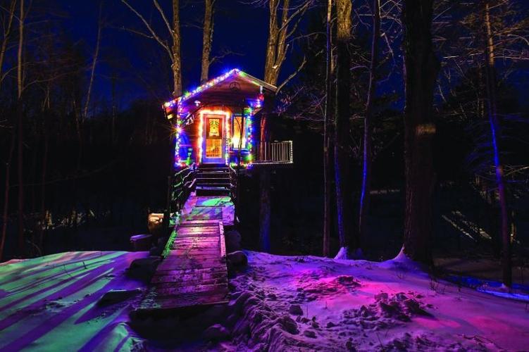 Twinkle lights illuminate Tiny Fern Forest Treehouse in Lincoln.