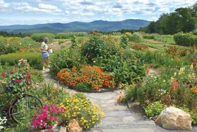 Stowe Garden Festival Celebrates Feats Of Flowers And Landscaping Features Vtcng Com