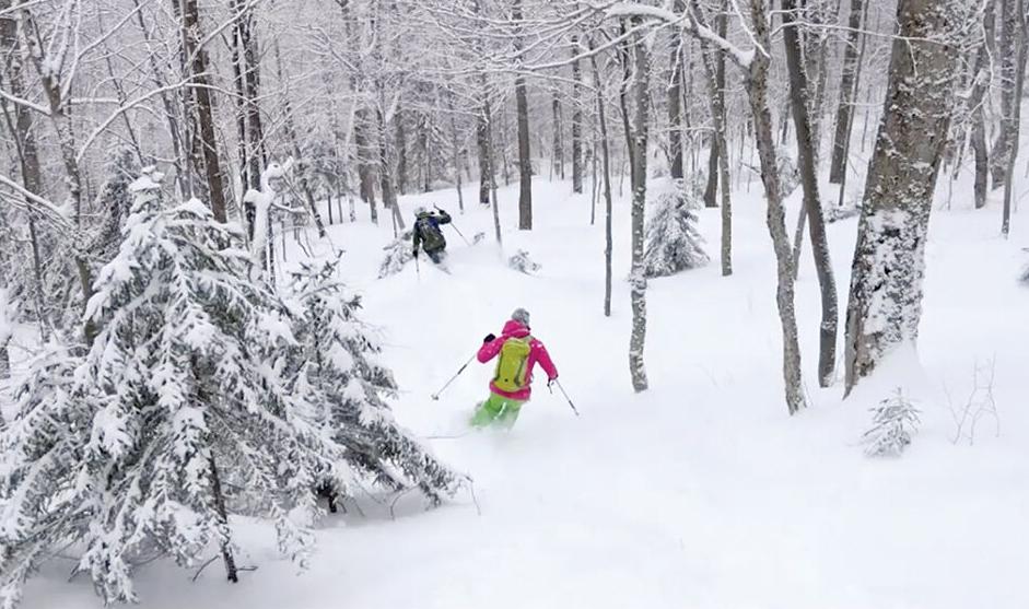 Woods beckon in times of COVID: Backcountry bible updated - Vimarsana News