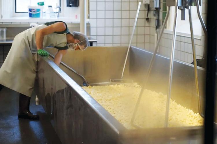 Shelburne Farms offers closer look at cheese-making | Local News ...