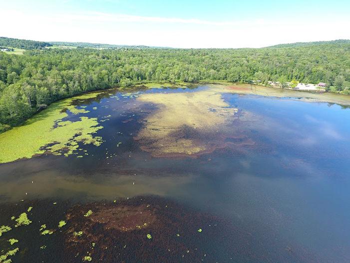 Lake Iroquois milfoil cleanup planned Community