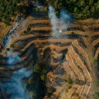 पाम तेल धोखाधड़ी की जांच में इंडोनेशिया की कंपनियों ने प्रमुख ईंधन की आपूर्ति की