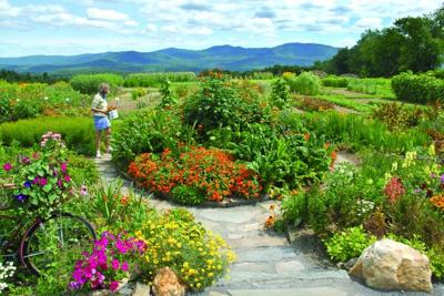 Picking flowers at the Trapp Family Lodge gardens