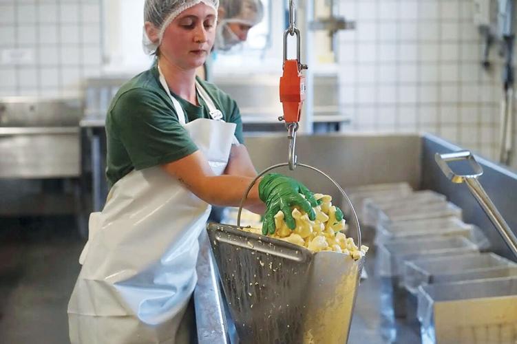 Shelburne Farms offers closer look at cheese-making | Local News ...