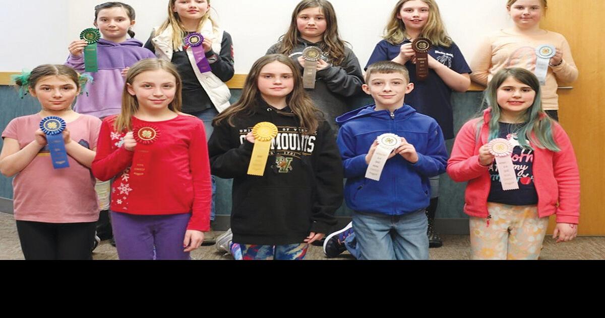 4H Horse Quiz Bowl County Notes