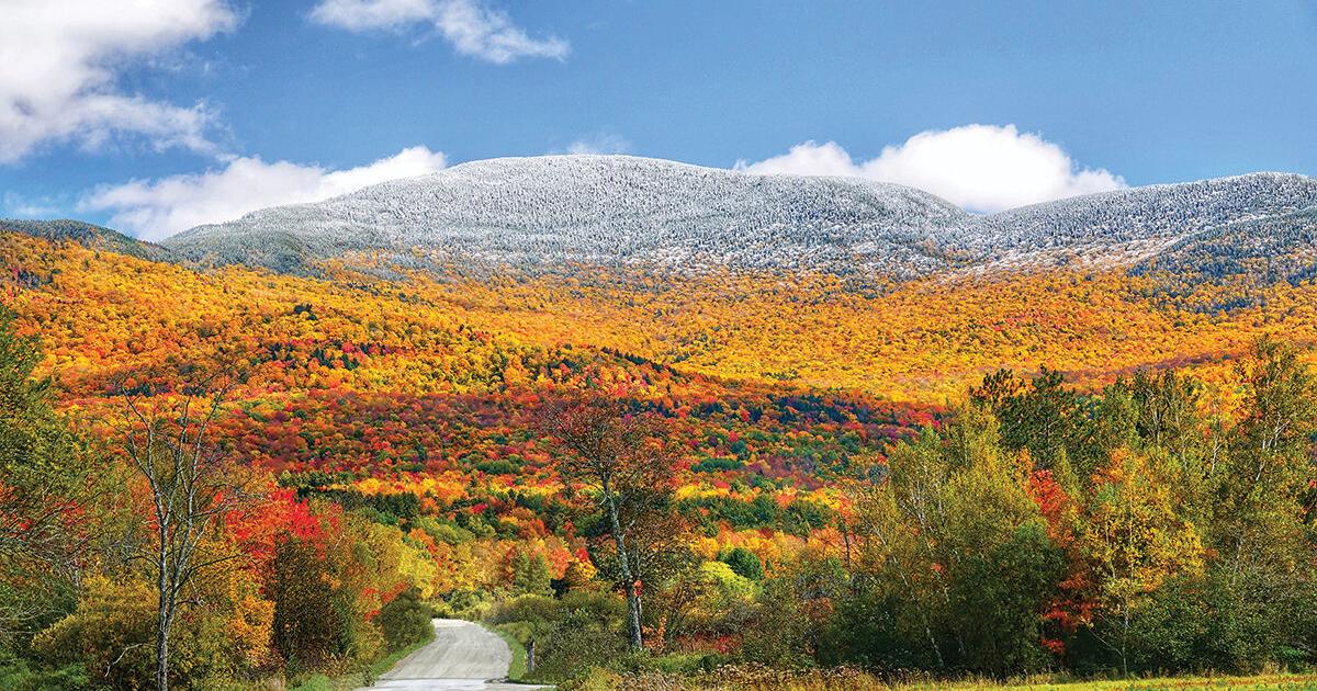Fall Color Contest Amazing autumn: 2022 fall foliage photo contest winners | Spotlight ...