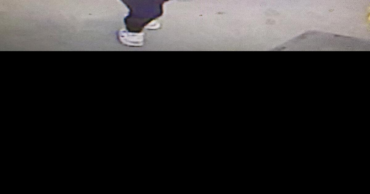 Hardwick Police Department statistics, Feb. 26March 4 Police, Fire