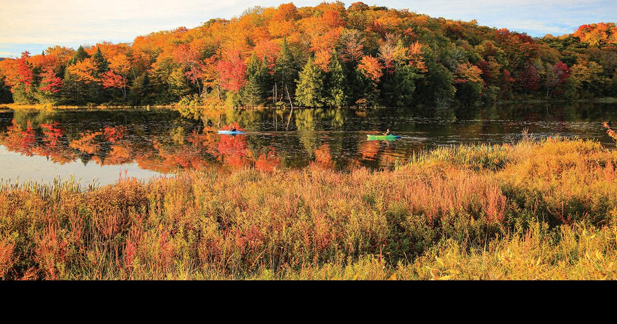 05 Reflections on Belvidere Pond Vermont Made