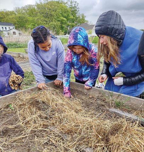 Kids visit Common Roots