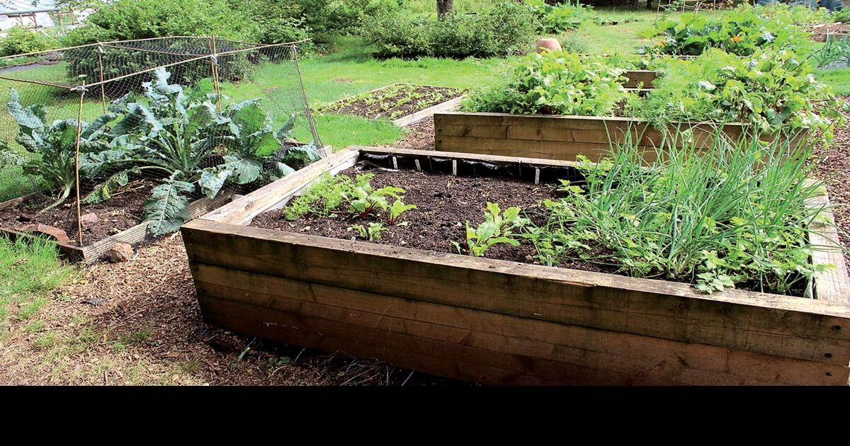 Raised beds nurture healthier soils HOME