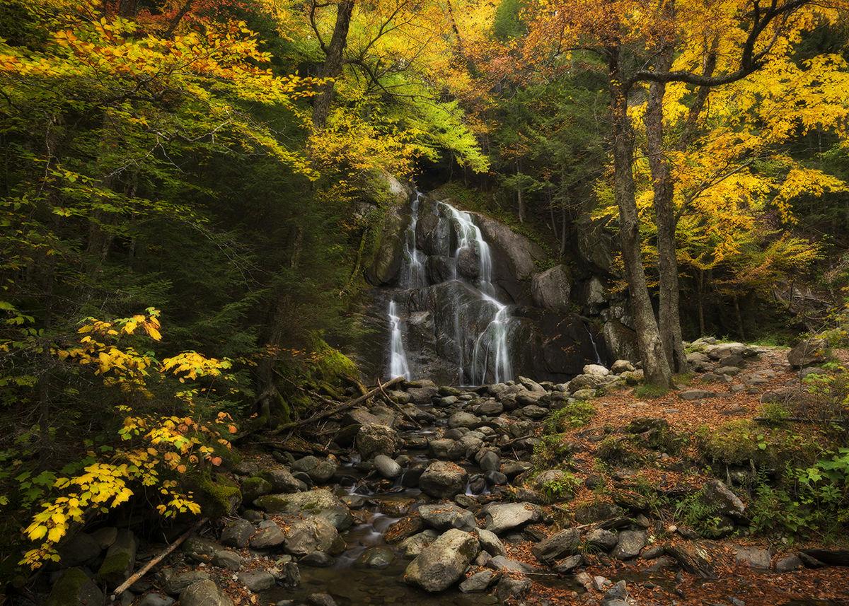 Moss Glen