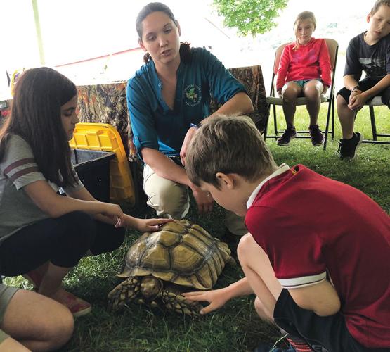 NCAL summer camp: Turtle
