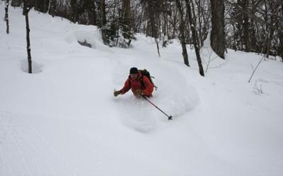 Back country powder turns.
