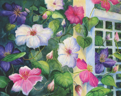 "Clematis with Arbor"
