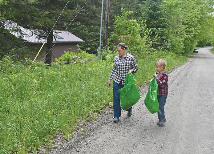 Greening up Sterling Valley Road