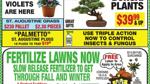 WESTVIEW NURSERY