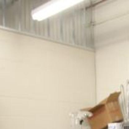 40 Waco Shelter Dogs Euthanized After Rabies Exposure Local News Wacotrib Com