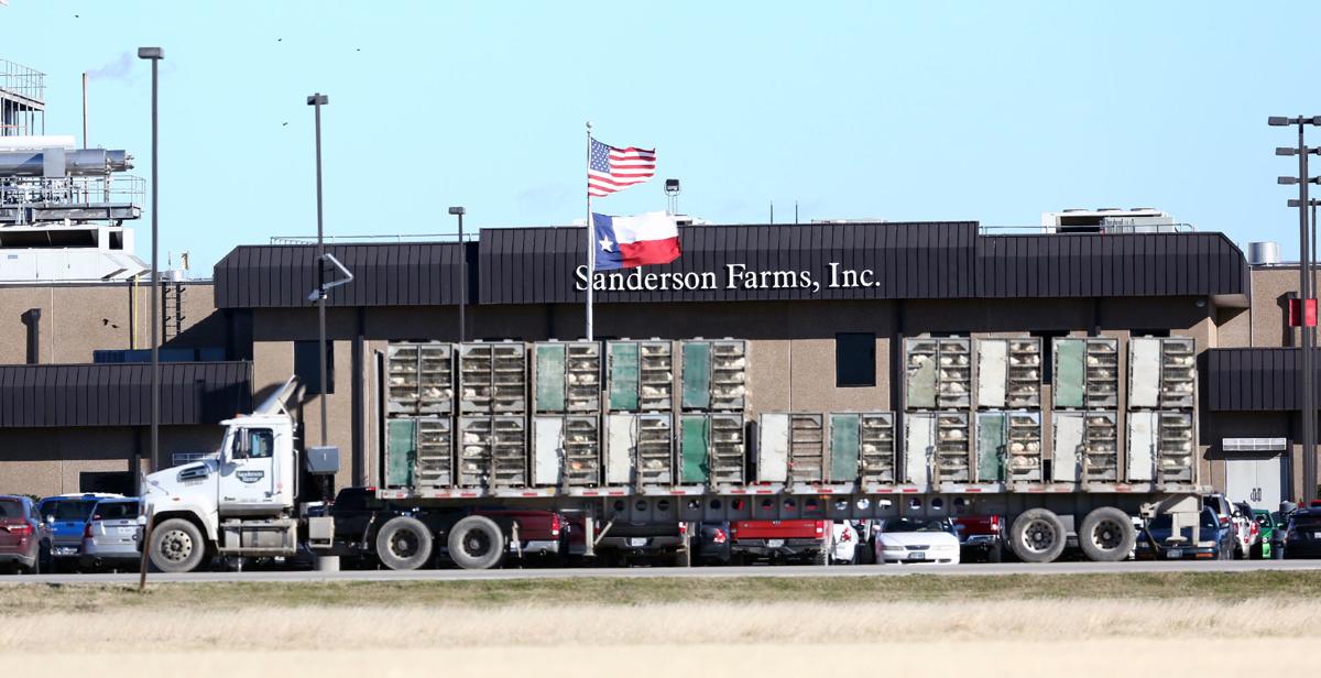 Sanderson Farms