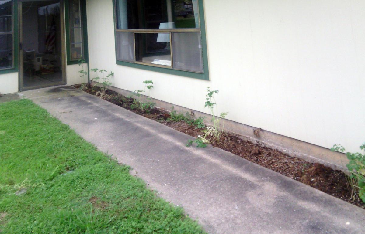 Sperry Landscaping narrow bed can be challenging Latest Headlines