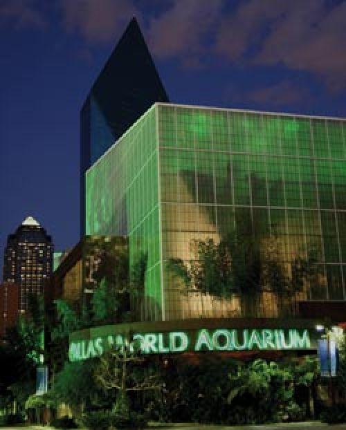 Texas Travels Enjoy a trip to the rainforest inside Dallas World